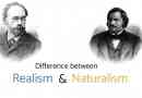 ¿Cuál es la diferencia entre realismo y naturalismo en la literatura?