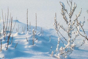 Formas económicas de mantener su casa caliente en invierno sin calefacción