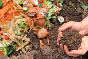 Cómo el abono ayuda a las plantas a crecer