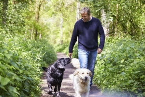 ¿Cuántas veces al día debes pasear a un perro?