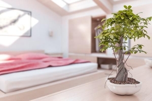 Cómo decorar un dormitorio al estilo feng shui