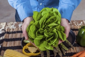 Cómo cultivar lechuga en interior en casa