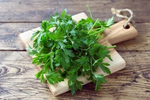 Cómo mantener el cilantro fresco durante más tiempo