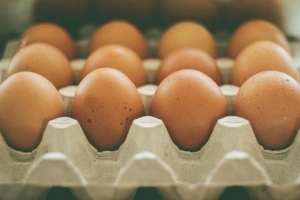 Cómo saber si los huevos son de campo libre