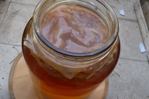 Cómo hacer té de kombucha en casa