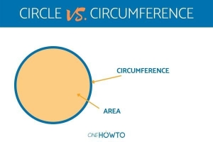 ¿Cuál es la diferencia entre círculo y circunferencia??