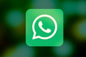 No se muestra la imagen de perfil de whatsapp